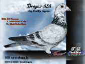 dragon555.jpg

304,68 KB
800 x 600
29.12.2008