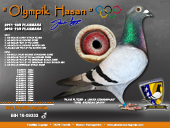 olympikhasan.jpg

233,12 KB
800 x 600
29.12.2008