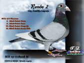 rambo2.jpg

329,65 KB
800 x 600
29.12.2008