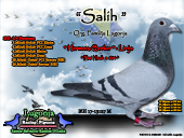 salih.jpg

329,65 KB
800 x 600
29.12.2008