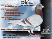 melina.jpg

233,12 KB
800 x 600
29.12.2008
